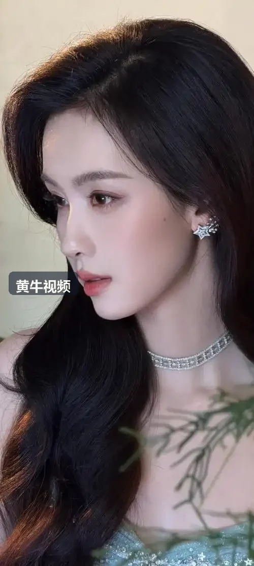 管理系统部署要点 - 黄牛视频